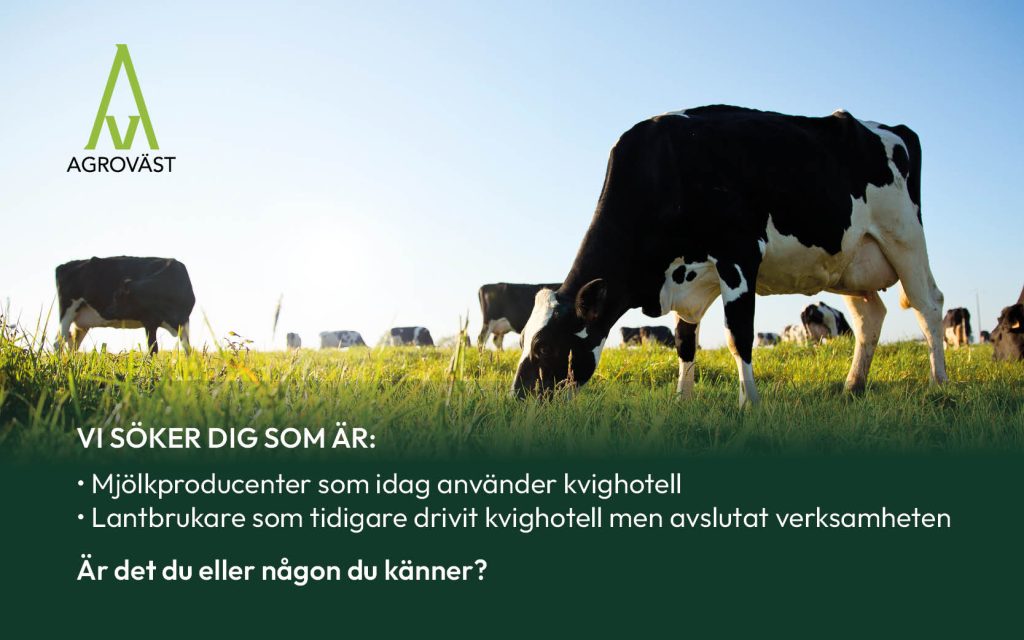 Mjölkprogrammet - studen sökes | Agroväst