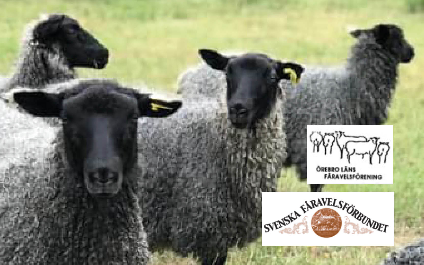 Färstämma 2026 | Agroväst
