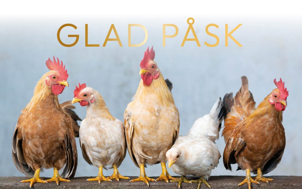 Glad Påsk 2026 | Agroväst