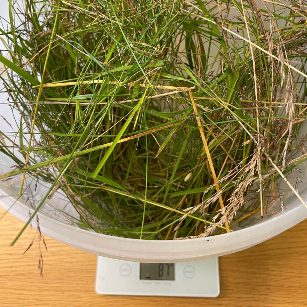DivGrass gräsinsamling | Agrovast