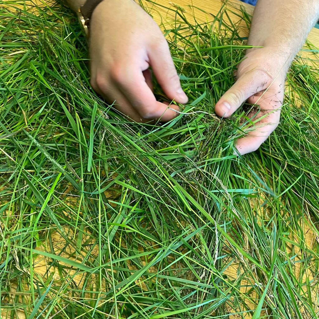 DivGrass gräsinsamling | Agrovast
