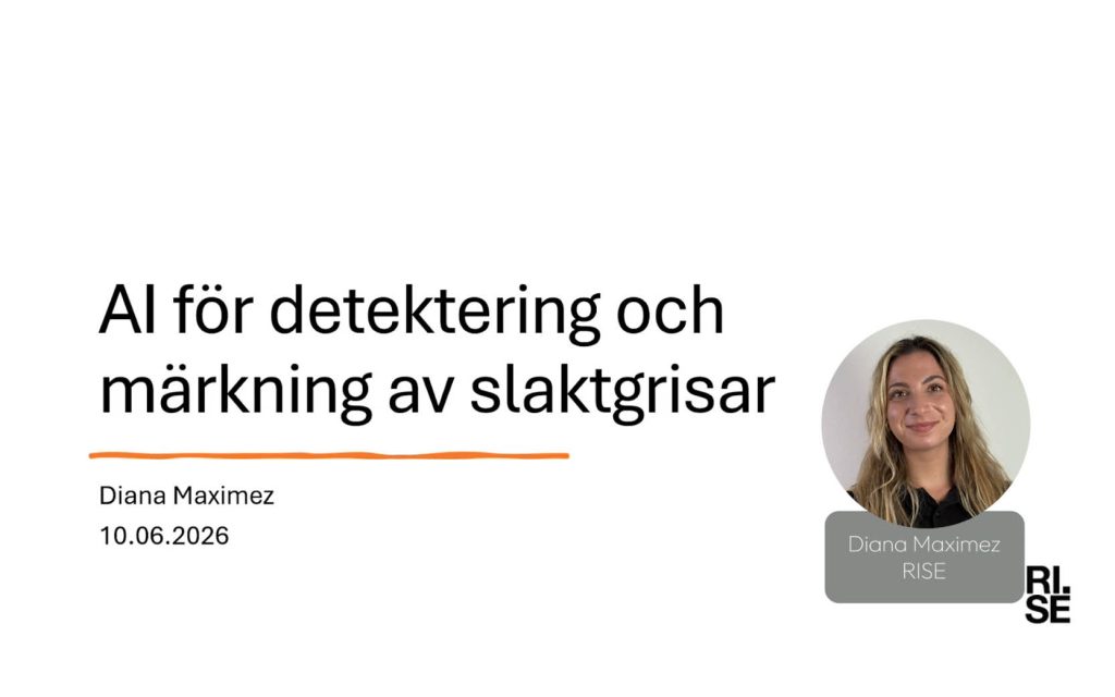 Agroväst Projekt 452 Ai-märkning av slaktgris