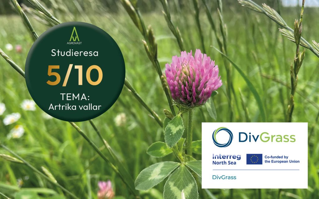 Studieresa DivGrass 2026-10 | Agroväst
