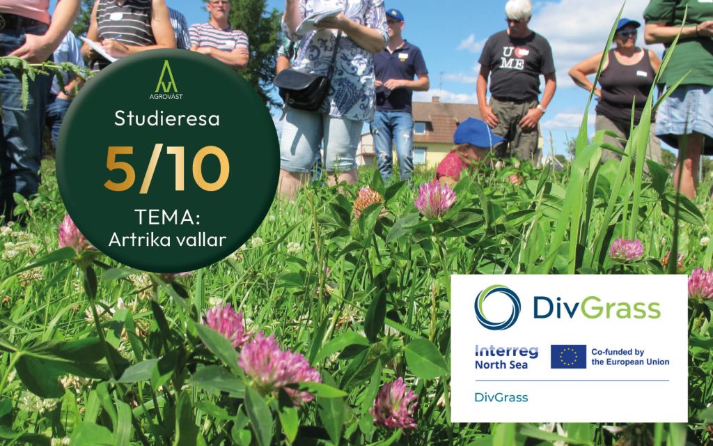Studiebesök DivGrass | Agroväst