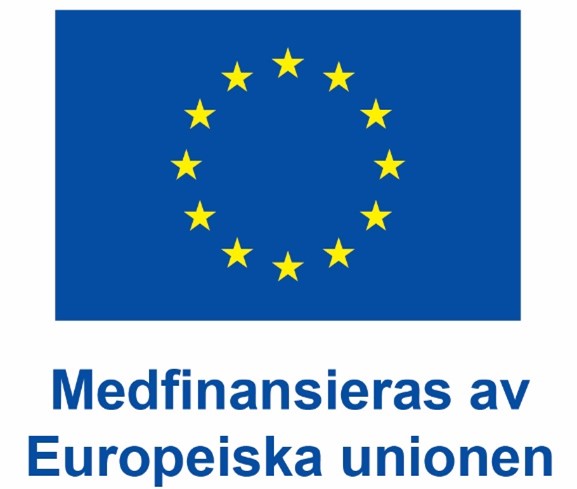 EU logotype - medfinansieras av EU