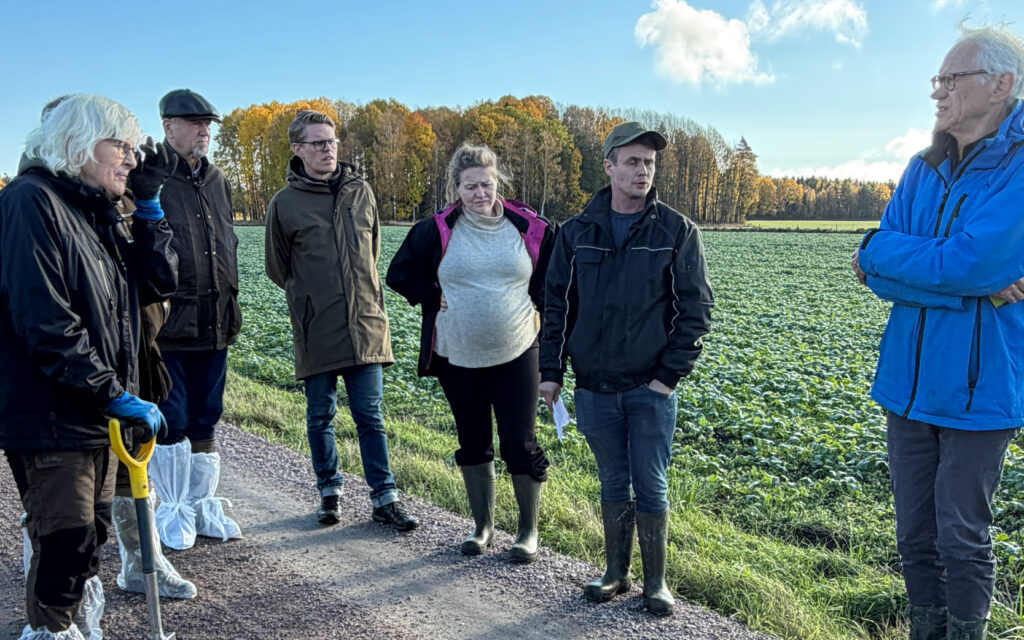 Gröna Möten Fältdag Raps som kompanjongröda Sötåsen